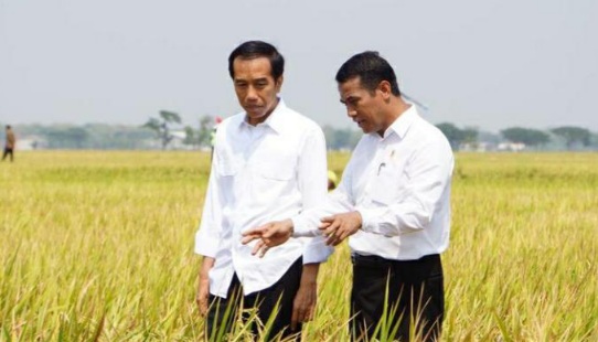 Jokowi - Amran Sulaiman