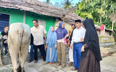 Alhamdulillah, Tahun Ini Al Washliyah Salurkan Hewan Kurban ke Delapan Wilayah